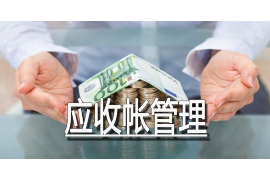 南县如何避免债务纠纷？专业追讨公司教您应对之策